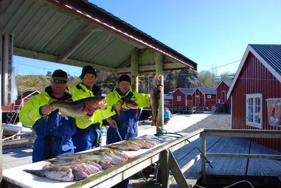 Der Außenfiletierbereich.
