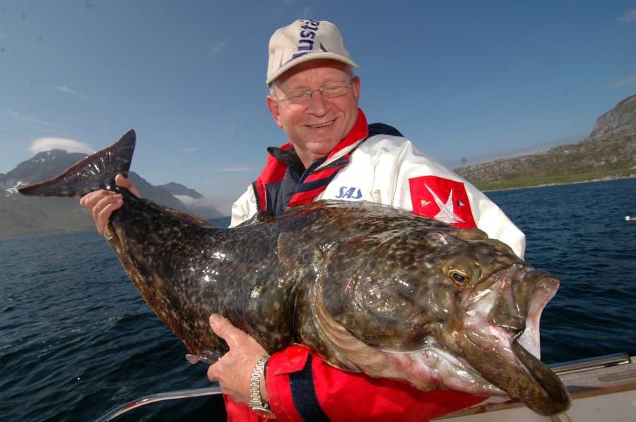 Wohnen im Nappstraumen: Heilbutt!