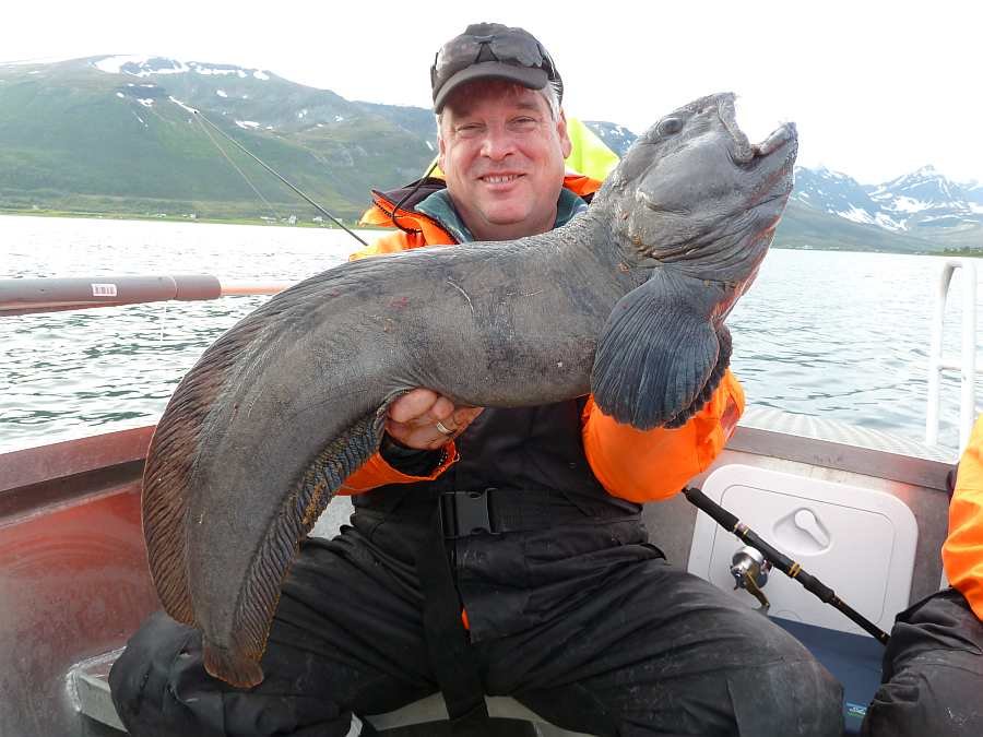 Gefangen in der Steijnbeisserbucht unweit vom Haus
