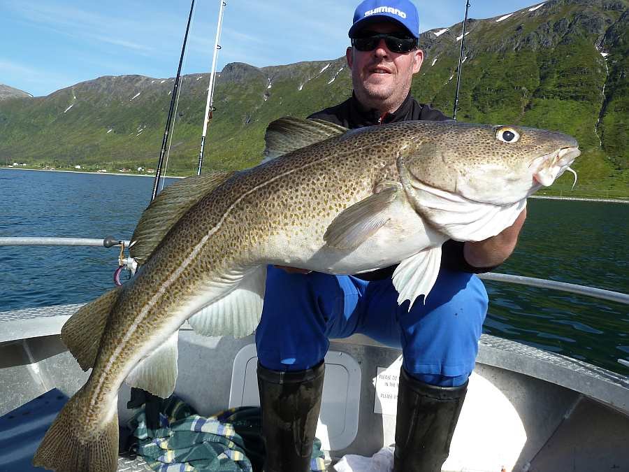 Direkt in der Bucht vor dem Haus gefangen