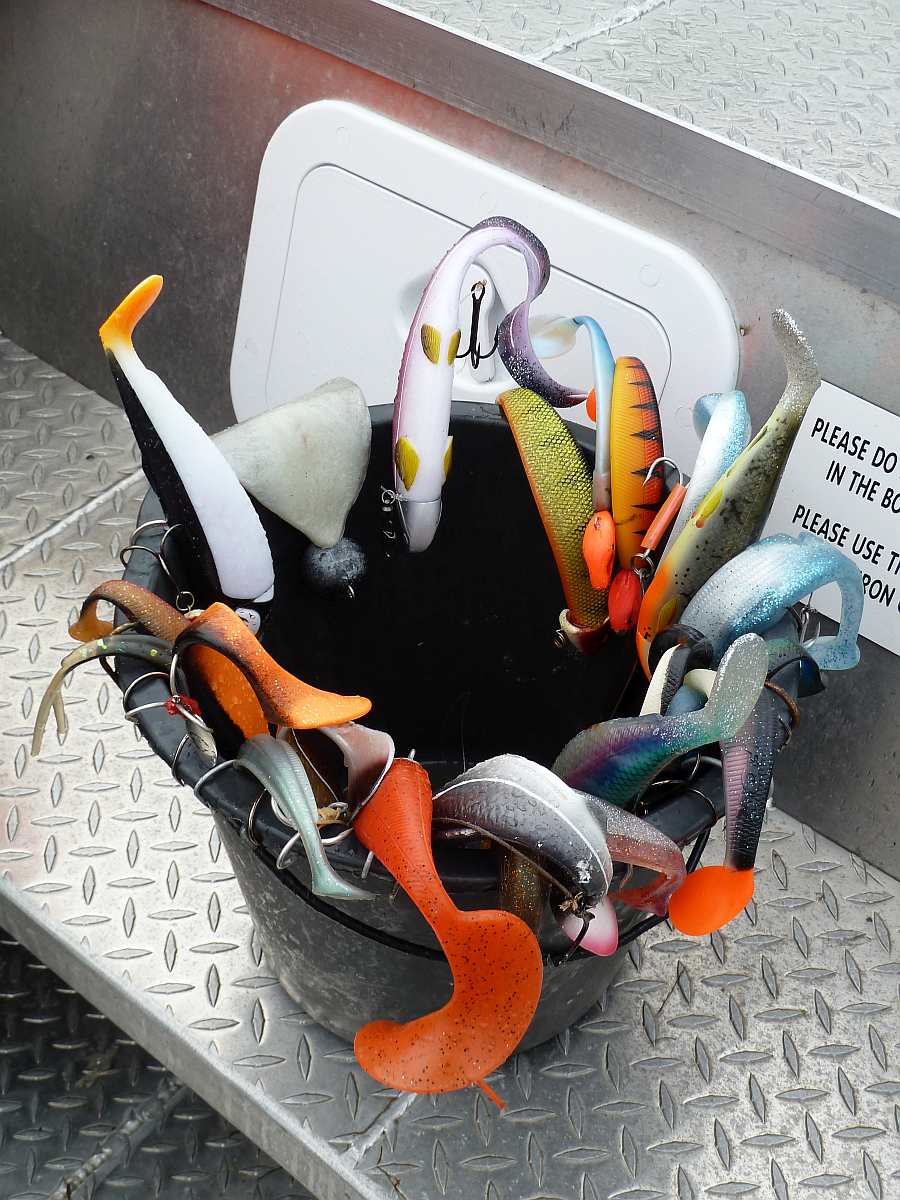 Heilbuttköder im Einsatz