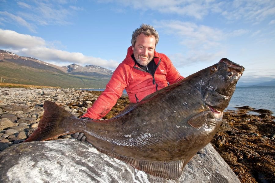 Diesen wunderbaren Heilbutt fing Rainer Korn im Mündungsbereich des Lyngenfjord