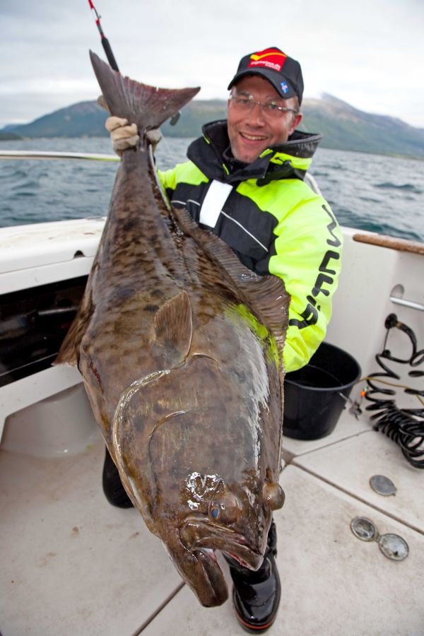 Sven Klöer von Angelreisen Hamburg mit Heilbutt gefangen am Ausgangsbereich des Lyngenfjord