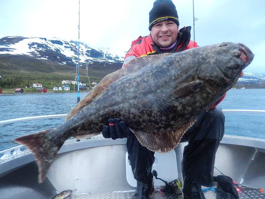 Erfolgreich direkt in der Bucht vor Akkarvik
