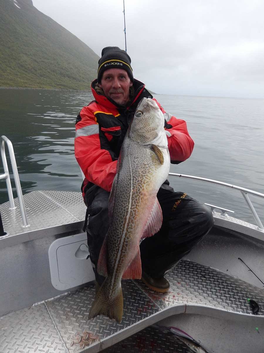 Dorsch aus 6 Meter Tiefe