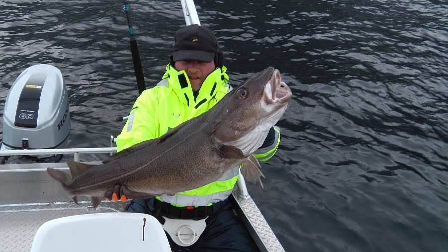 Im zeitigen Fühjahr - 14 kg