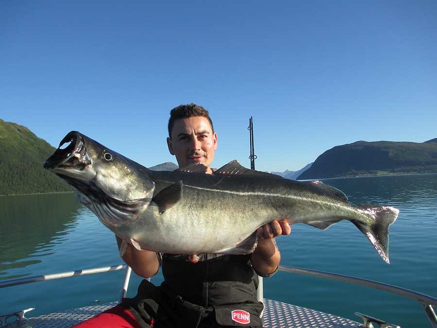 Super Köhler Ende August