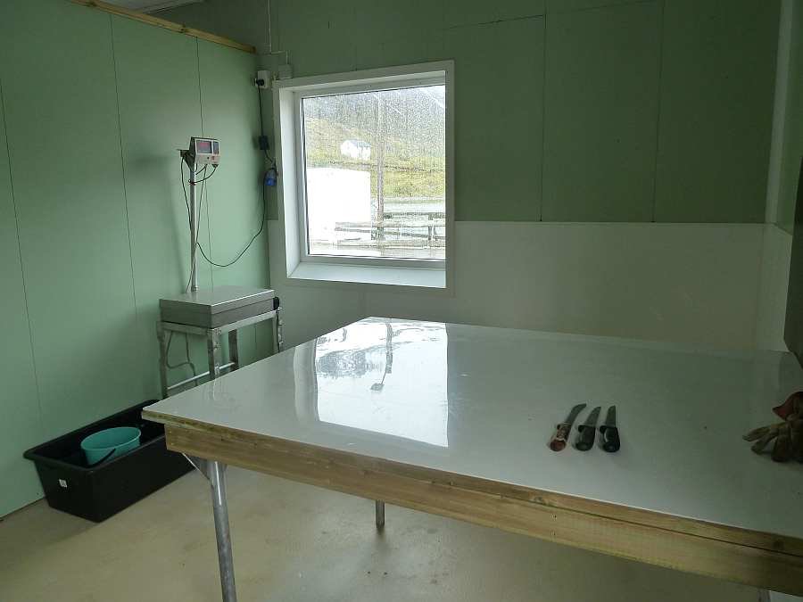 Ein beheizbarer Filetierraum steht am Steg zur Verfügung