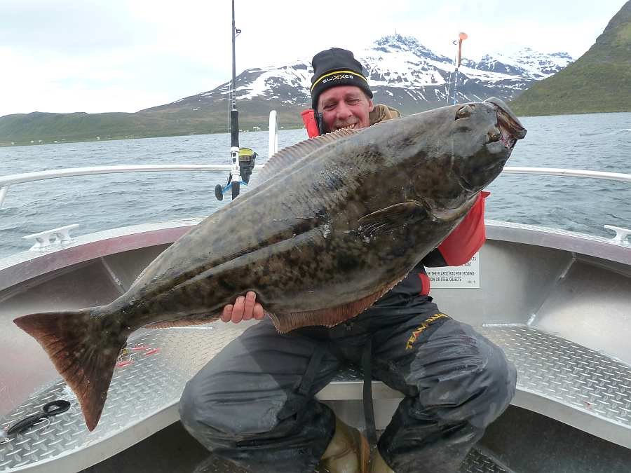 Hier direkt in der Bucht von Akkarvik finden sich herrvorragende Buttplätze