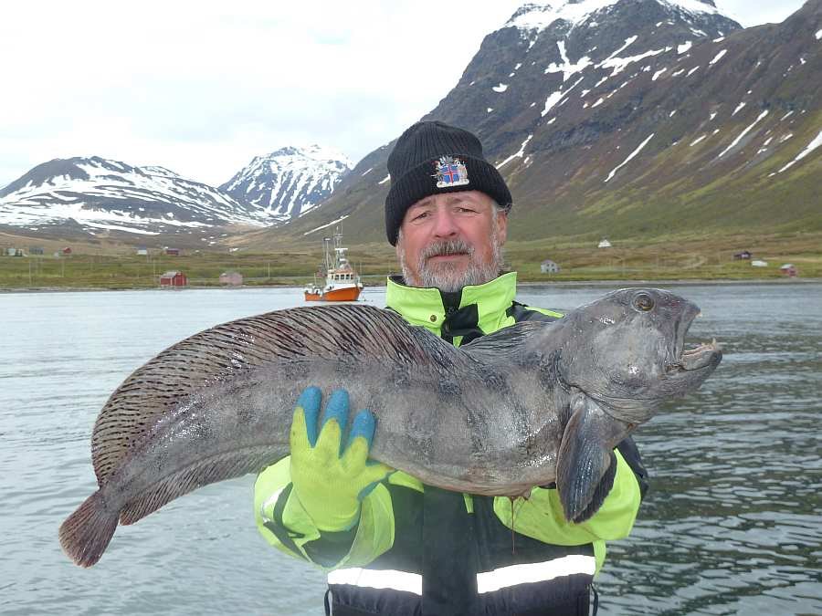 Unmittelbar vor dem Bootssteg. Steinbeisser im Frühjahr