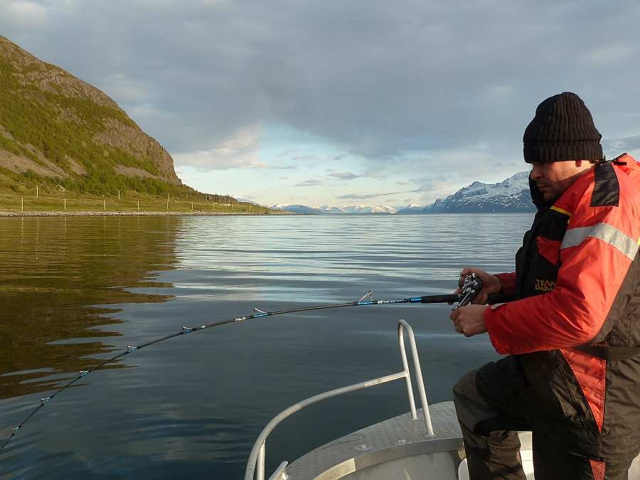 Fischen auf Steinbeisser