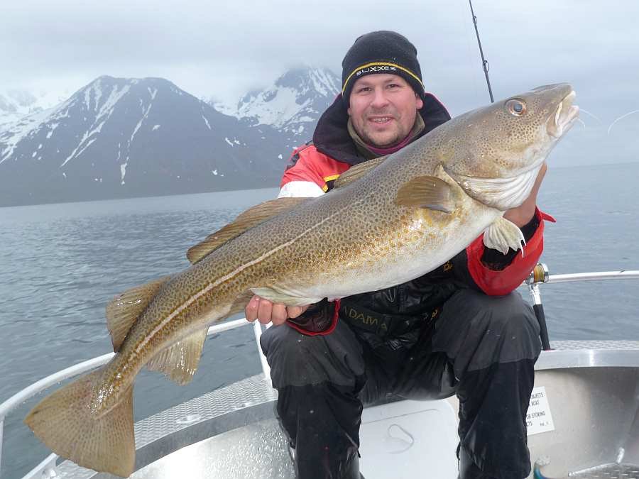 Die Möwen haben den Platz verraten