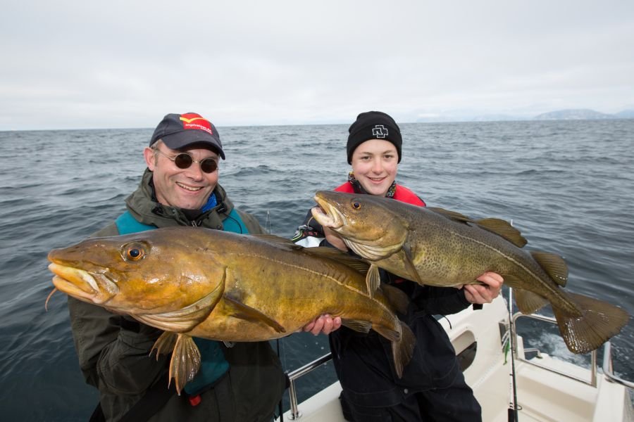 Tang- und Dickdorsch am Eingang des Malangen.