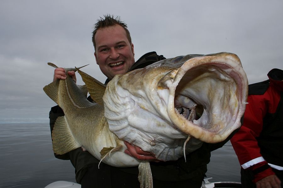 Patrick Schäfer mit Großdorsch vor Havøysund.