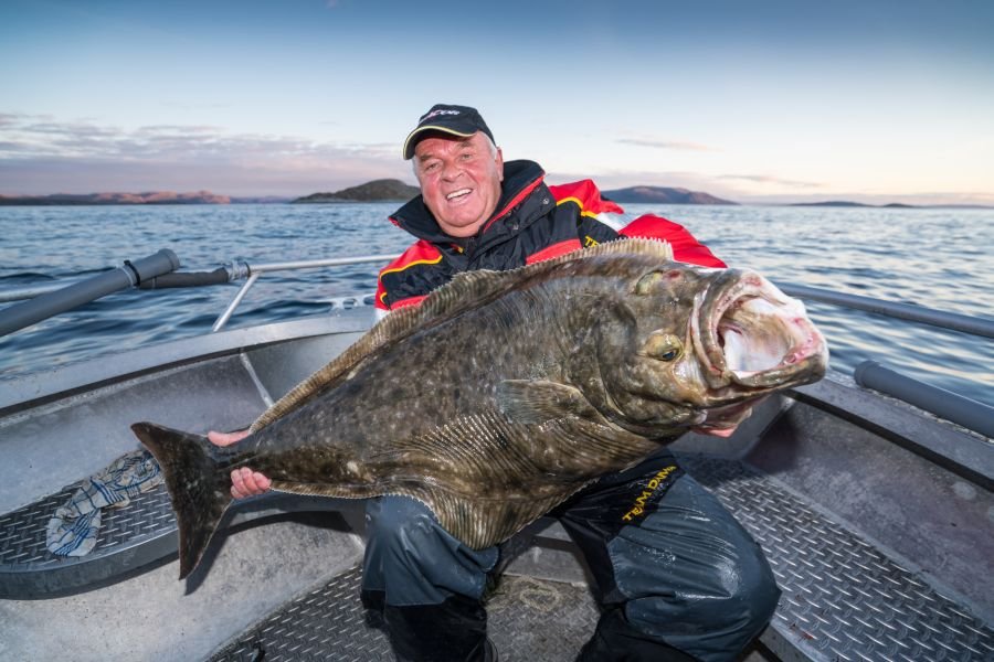 Horst Hennings mit enem 1,30 Meter Havøysund-Heilbutt.