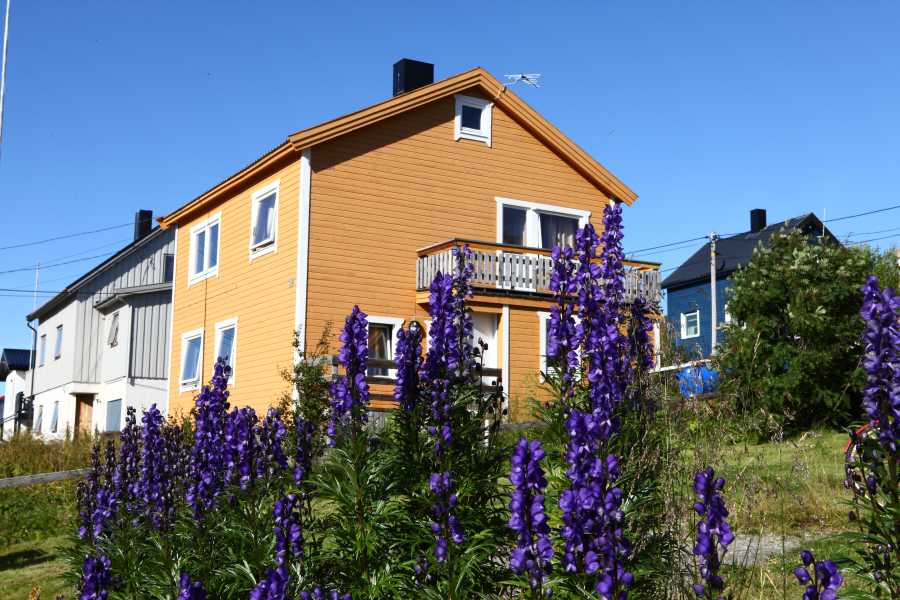 Havøysund Haus 1