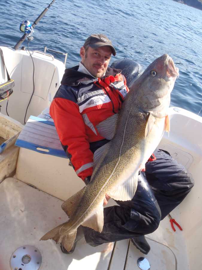 Sommerdorsch vor Havøysund