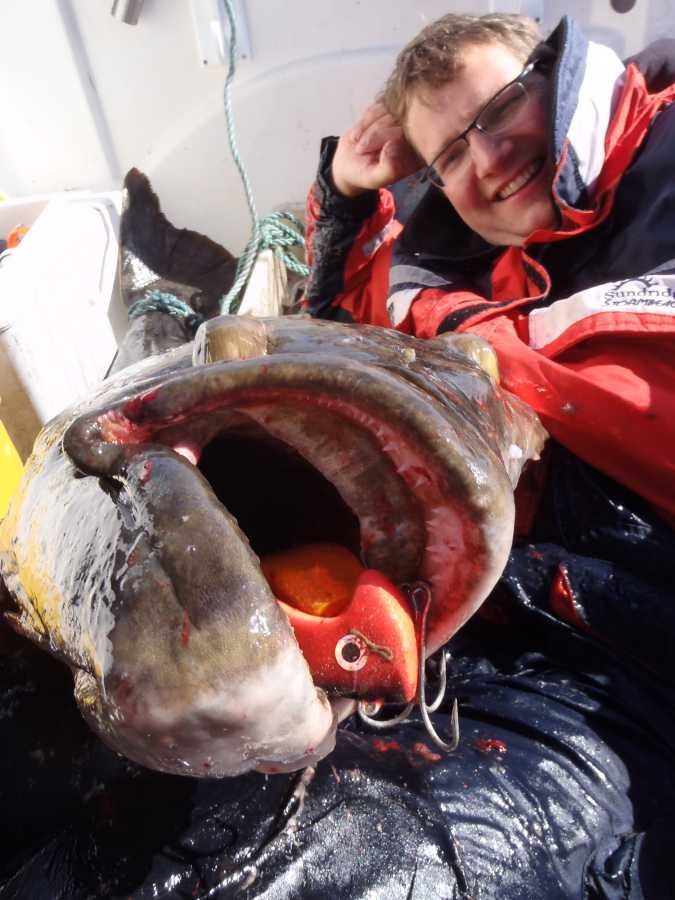 83 Kilo Heilbutt Granate