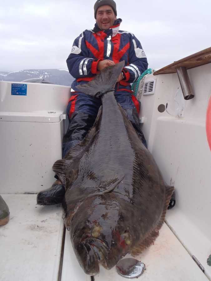 52 Kilo Heilbutt. Solche Butt sind hier keine Seltenheit