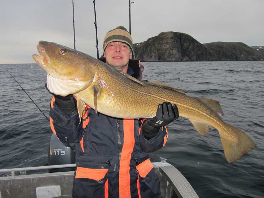 Stefan Bräuer mit tollem Havøysund Meter Dorsch