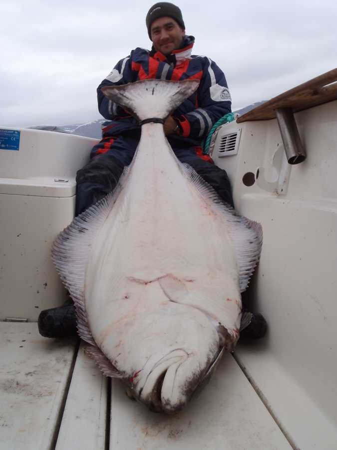 Rocco Schuch mit 104 Pfund Havøysund Platte