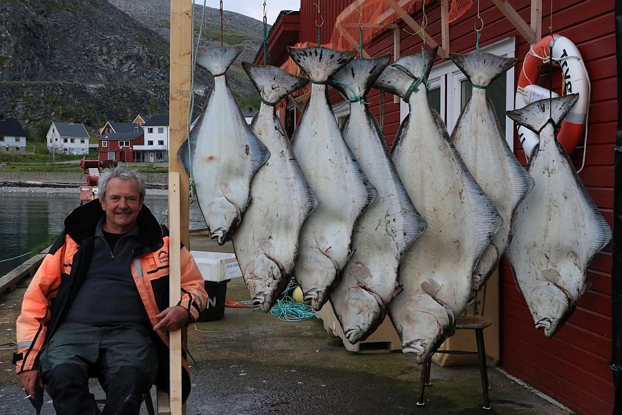 Alaska? Nein, Kjøllefjord!!