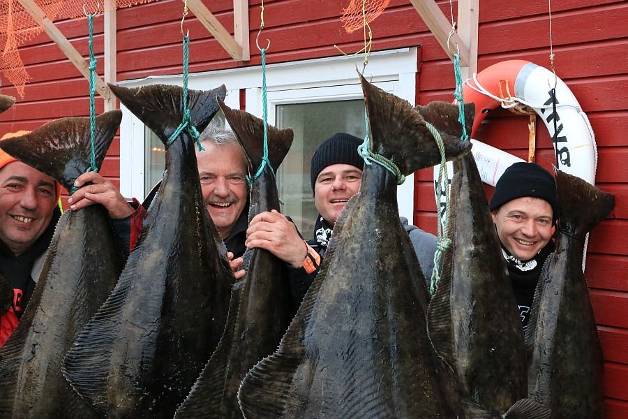 So sehen Angelreisen Hamburg-Kunden am Kjøllefjord aus