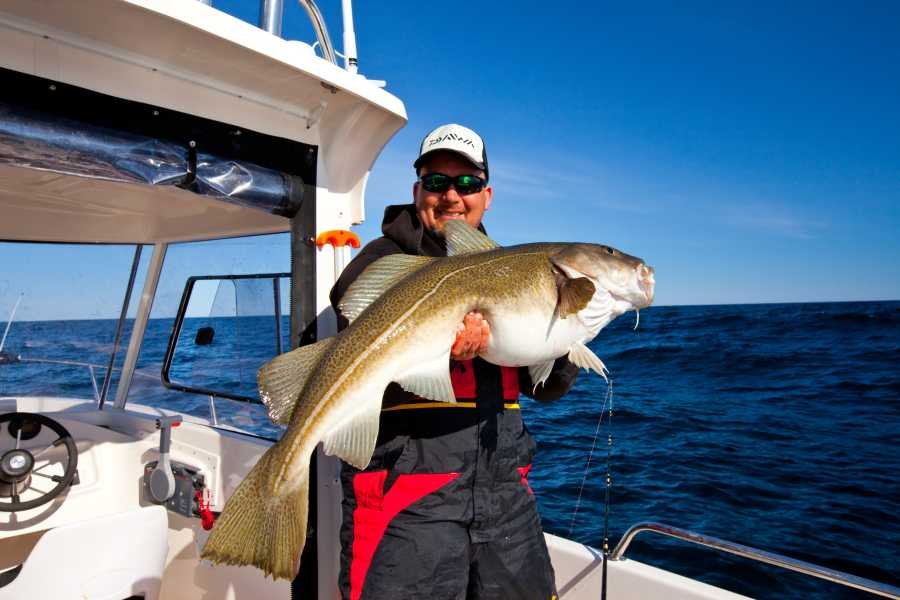 So kann eine Dickdorsch-Tour im April vor Mehamn aussehen.