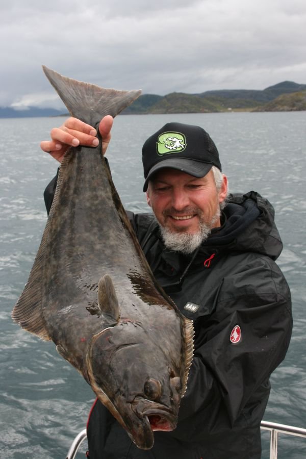 Auch Holger Höner konnte diesen tollen Heilbutt in der Bucht von Kjeselvika überlisten