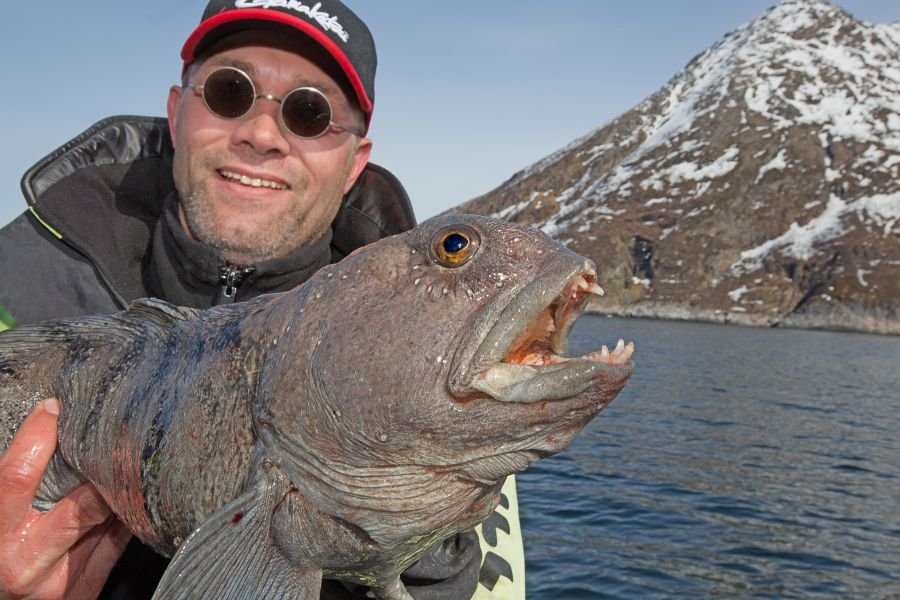 Angeln in Norwegen: Rognsund günstig buchen - NNROG