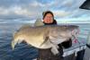 März auf Sørøya bedeutet Skrei!
