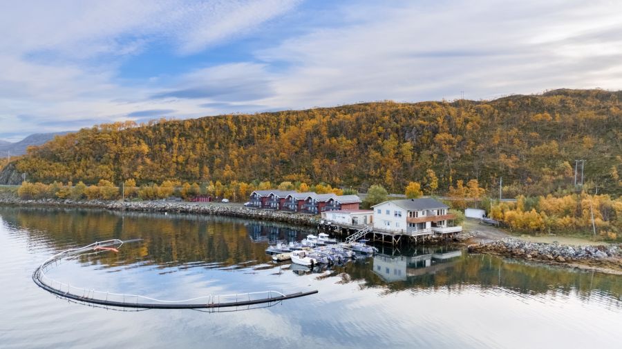 Traumanlage bei Tromsø: Amberfish!