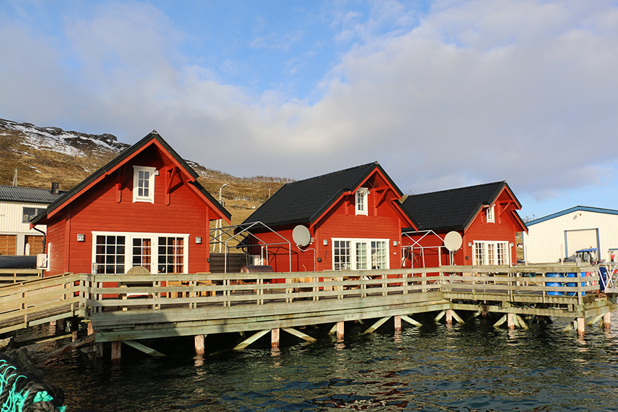 Maribell Sjøbuer.