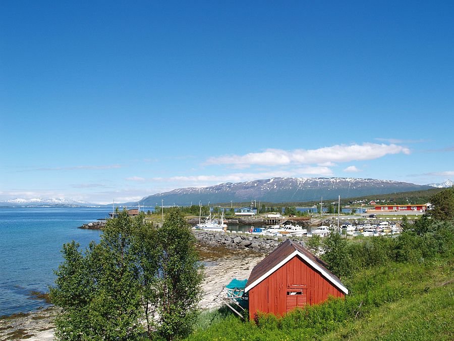 Vikran Kystferie
