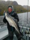 Stramme Köhler kommen im Sommer bis September in den Fjord.