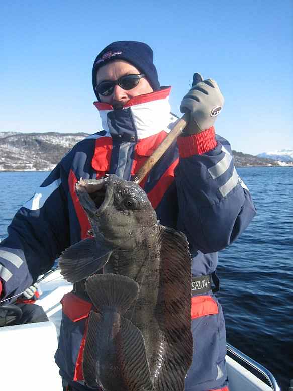 Schöner Steinbeißer vom Steingrunnen.