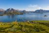 Hennestrand Brygge