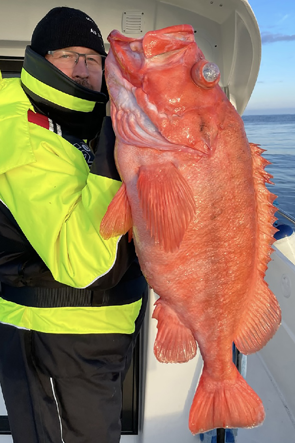 Risøyhamn Sjøhus 2 Risøyhamn Sjøhus 2