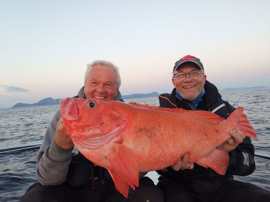 Rotbarsch-Riese von fast 10 Kilo, den Horst Hennings bei einer Kontinentalschelf-Tour fing.