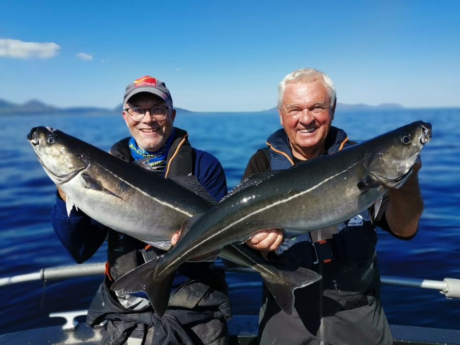 Schöne Sommer-Köhler.
