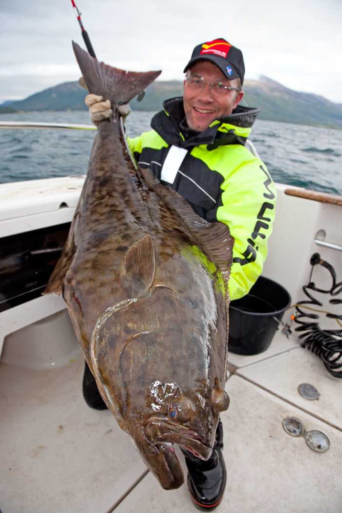 Heilbuttparadies Kasfjord.