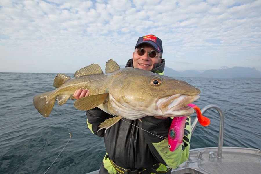 Dickdorsch aus dem Andfjord!