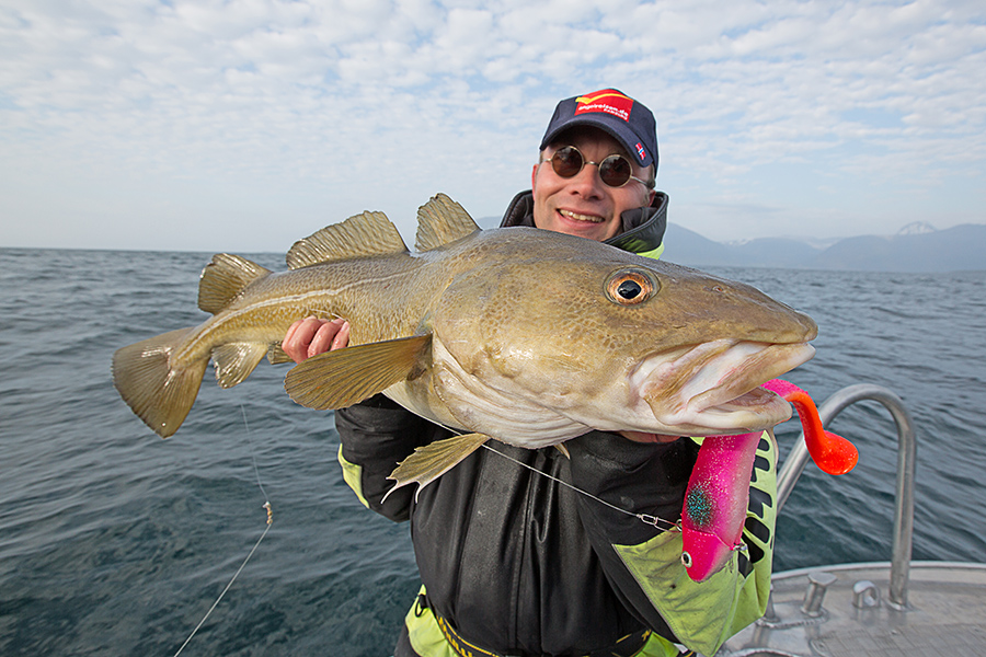 Ferienhaus Yttereidet