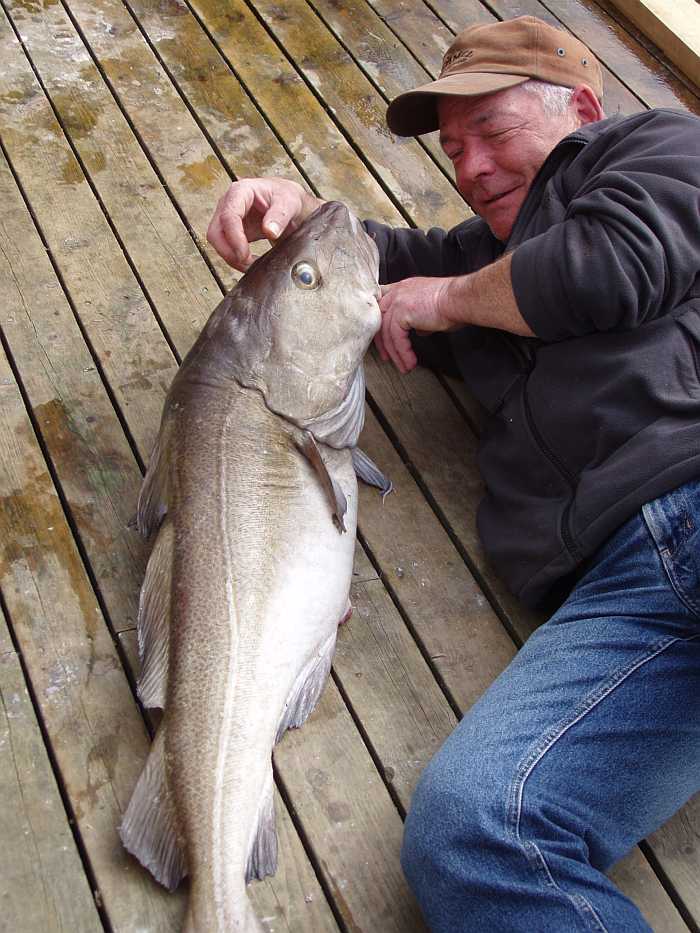 Die Liebe ist hier eher  einseitig