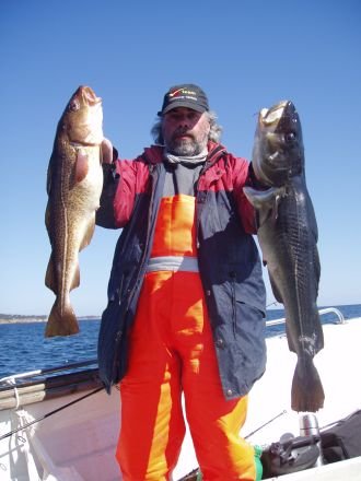 Dorsche im April Dorsche im April