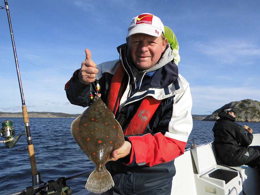 Südnorwegen ist Plattfisch Gebiet!
