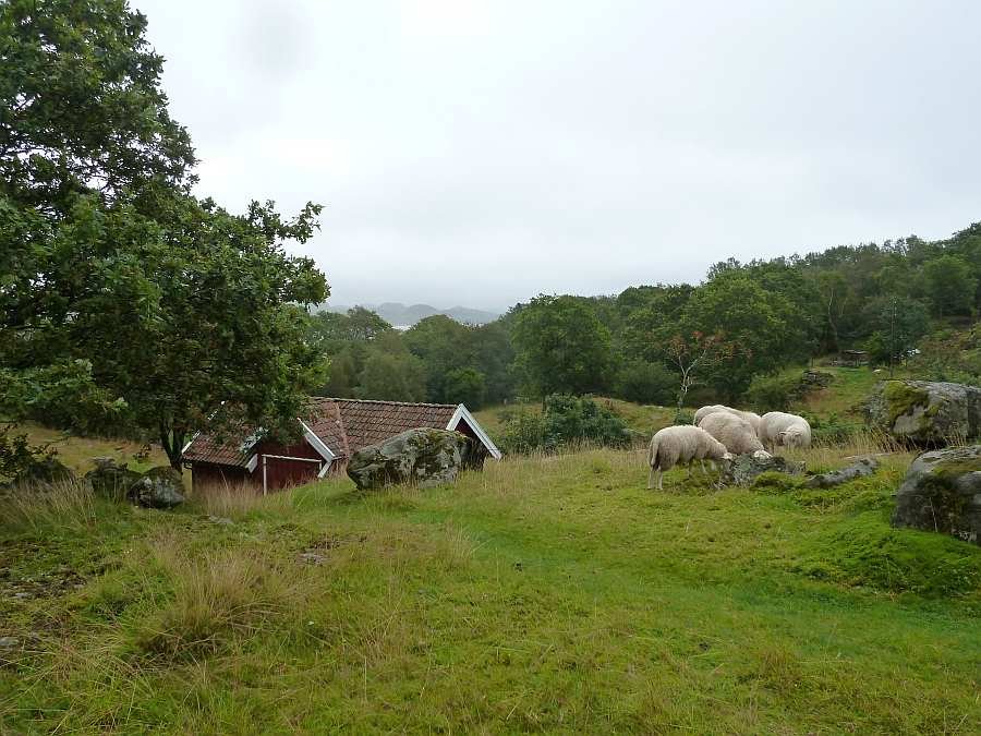 Die direkte Umgebung des Hauses bietet Ruhe und wunderschöne, idyllische Natur