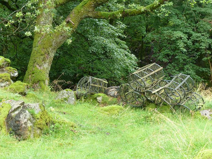 Der Weg zum Boostanleger ist überaus romantisch