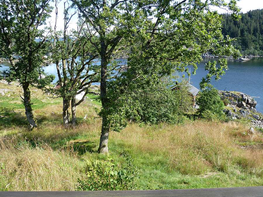 Das Naturgrundstück des Hauses ist wunderschön