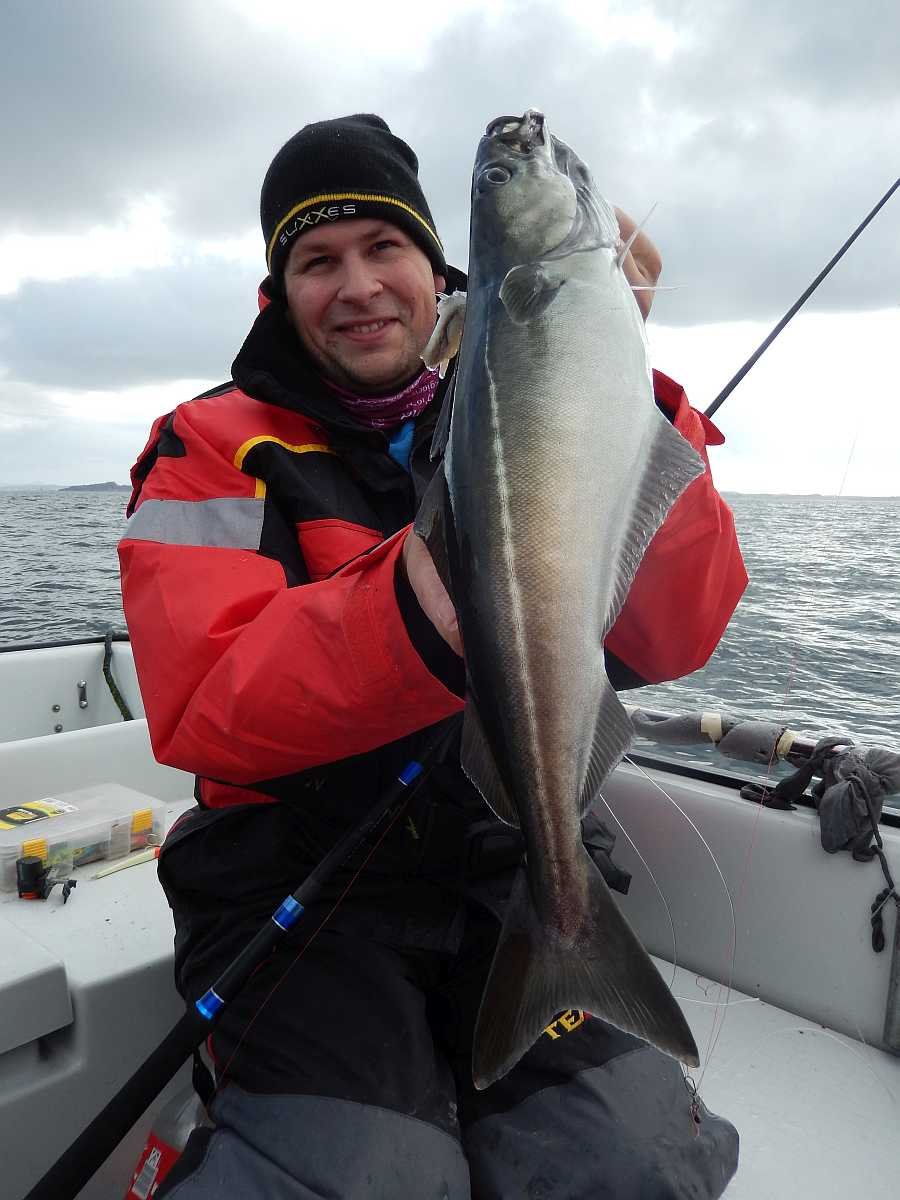 Toller Köhler im April